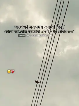 অপেক্ষা সবসময় করবো কিন্তু কোনো আওয়াজ করবোনা প্রতিটি লাইন তোমার জন্য লেখবো কিন্তু তোমার নাম লিখবো না-🥺❤️‍🩹#foryou #foryoupage #trending 