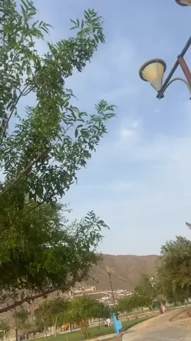 #اكسبلورررررررر 