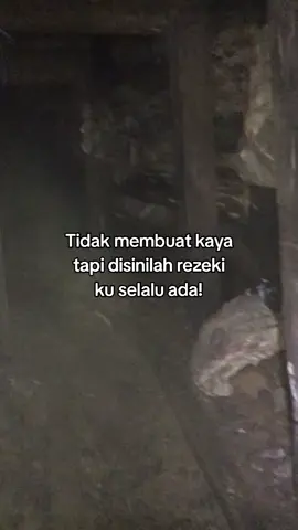 #anaktambang #fyppppppppppppppppppppppp 