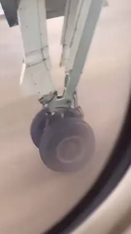 Our final tik tok?  #flight #plane #pedropascal #finaldestination #travel 