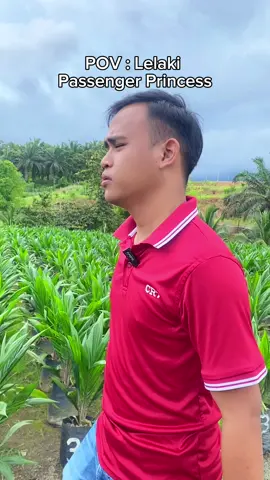 SUKA PULAK SI ROWEL NI AKU DRIVE🙄!!!  #sawit #sabah #malaysia #sarawak #pinoy #pokokkelapasawit🌴🌴 #agriculture #pekebun #sabahancrew_fams #fyp #fyppppppppppppppppppppppp #foryoupage #viral #tiktok #capcut #xyzbca #trending #trend #pekebunkecil #viralvideo 
