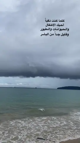 #مساء_الخير🌹 #اكسبلورexplore 