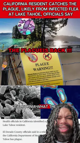 Lake Tahoe resident got infected with the plague #laketahoecalifornia #california #scary #plague #bubonicplauge