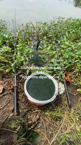#storymancing #angler #foryoupage 