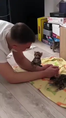 The bind between cats and humans. ❤️🥰#catlover #fyp #kitten #Love #cutecat 