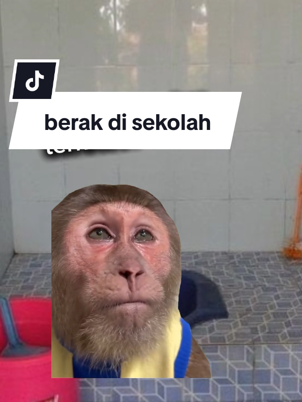 temen dakjal#Meme #memekucing #kucinglucu #memecat #fyp