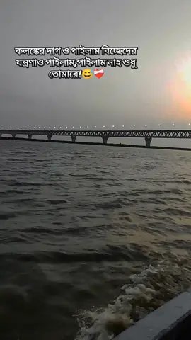 -কলঙ্কের দাগ ও পাইলাম বিচ্ছেদের যন্ত্রণাও পাইলাম পাইলাম না শুধু তোমারে!😅❤️‍🩹#cheater #treandingsong #pain #brokenheart #foryou 