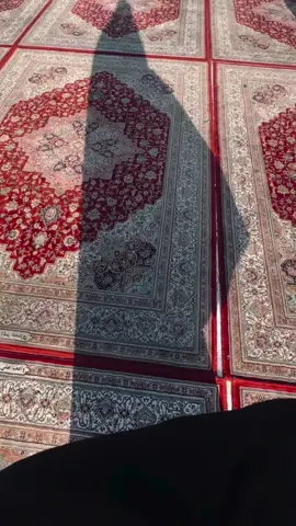 اللهُم صلِ على مُحمد والـِ مُحمد🤎. ـ ـ ـ #اللهم_صلي_على_نبينا_محمد  #ام_البنين_عليها_السلام  #explore #foryoupage #viral 