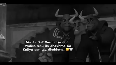 Like isar wll❤️😀#viwosproblam😔 #soomaliland💚💭❤ #soomalia🇸🇴 #Toorez😮‍💨🌷 #fpy 