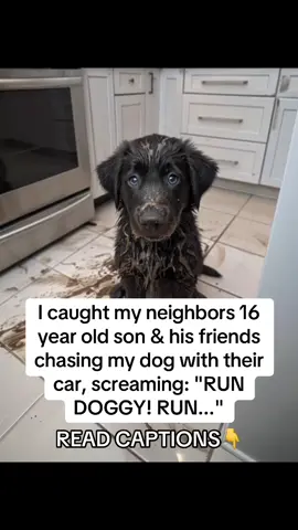 😢The sound still haunts me—screeching tires, terrified barking, and cruel voices yelling: “RUN DOGGY! RUN!” I looked outside and froze. My neighbor’s 16-year-old son and his friends were swerving their car toward my dog, Rocky, laughing like it was a game. By the time I got outside, Rocky was dragging himself toward the fence, paw bent at a sickening angle, ribs rising and falling too fast, eyes wide with panic. I wrapped him in a blanket, blood soaking through, and sped to the ER vet. Under the harsh lights, the vet’s voice was steady but grim: “Fractured paw. Bruised ribs. Early shock. We’ll splint it, start antibiotics, and keep him overnight.” Then she added: “We’ll also give him Taily Collagen Drops—collagen to rebuild bone and tissue, omegas to fight inflammation, nutrients to heal from the inside out.” 🐾 Day 3: Swelling down. First careful steps. 🐾 Week 1: Paw stronger, tail wagging. 🐾 Week 3: Running short sprints, barking again. 🐾 Month 1: Fully cleared. Coat shiny. Eyes bright. My Rocky was back. I’ll never erase that night. But because of Taily Collagen, Rocky’s story didn’t end in pain—it became one of strength, healing, and life. 💚🐶 If your dog is injured, aging, or in pain—don’t wait. Taily Collagen Drops are on Amazon now. They gave Rocky his life back—drop by drop. #dogs #doglovers #dogsoftiktok #dogmom #doghealth    