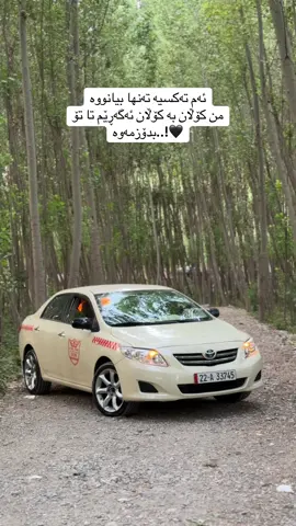 ‎ئەم تەکسیە تەنها بیانووە ‎من کۆڵان بە کۆڵان ئەگەڕێم تا تۆ بدۆزمەوە..!🖤#😅 