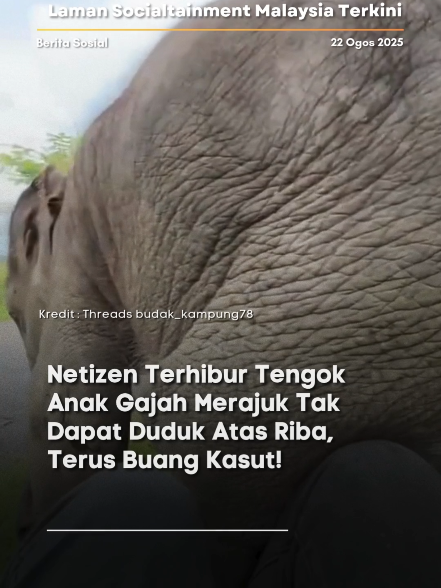 Ee comelnya!! Geram tengok.. 🥰 Kredit: Threads budak_kampung78 P/s: Video di atas bukan hak milik Lobak Merah dan kami telah meletakkan kredit kepada pemilik video. Sekiranya anda ingin menurunkan sebarang video, Sila DM kami dalam kadar segera. Terima Kasih! Jangan lupa untuk Like, Comment. Share dan Follow Lobak Merah! 🧡 Terima Kasih! #fyp #news #trends #berita #lobakmerah