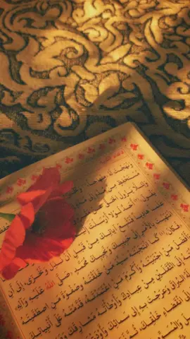 دعُـاء الندِبــة 🌼 #اكسبلور #جمعة_مباركة_عالجميع #ترندات_تيك_توك 