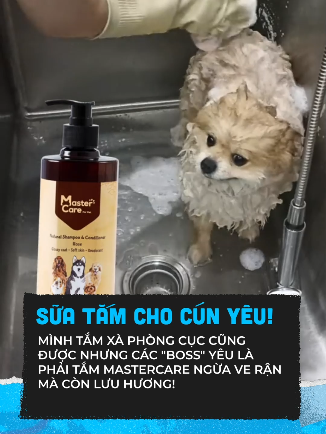 Rất cần cho mấy ẻm #celebnetwork #clmedia #tiktokviral #clworld #dulich #tiktokgiaitri #cllifestyle #trip #book #Home #pet #suatamchocun