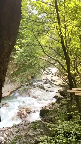 Rugove ❤️#emi🦋🇦🇱🇩🇪 #foryour #fyp #kosova #2025 