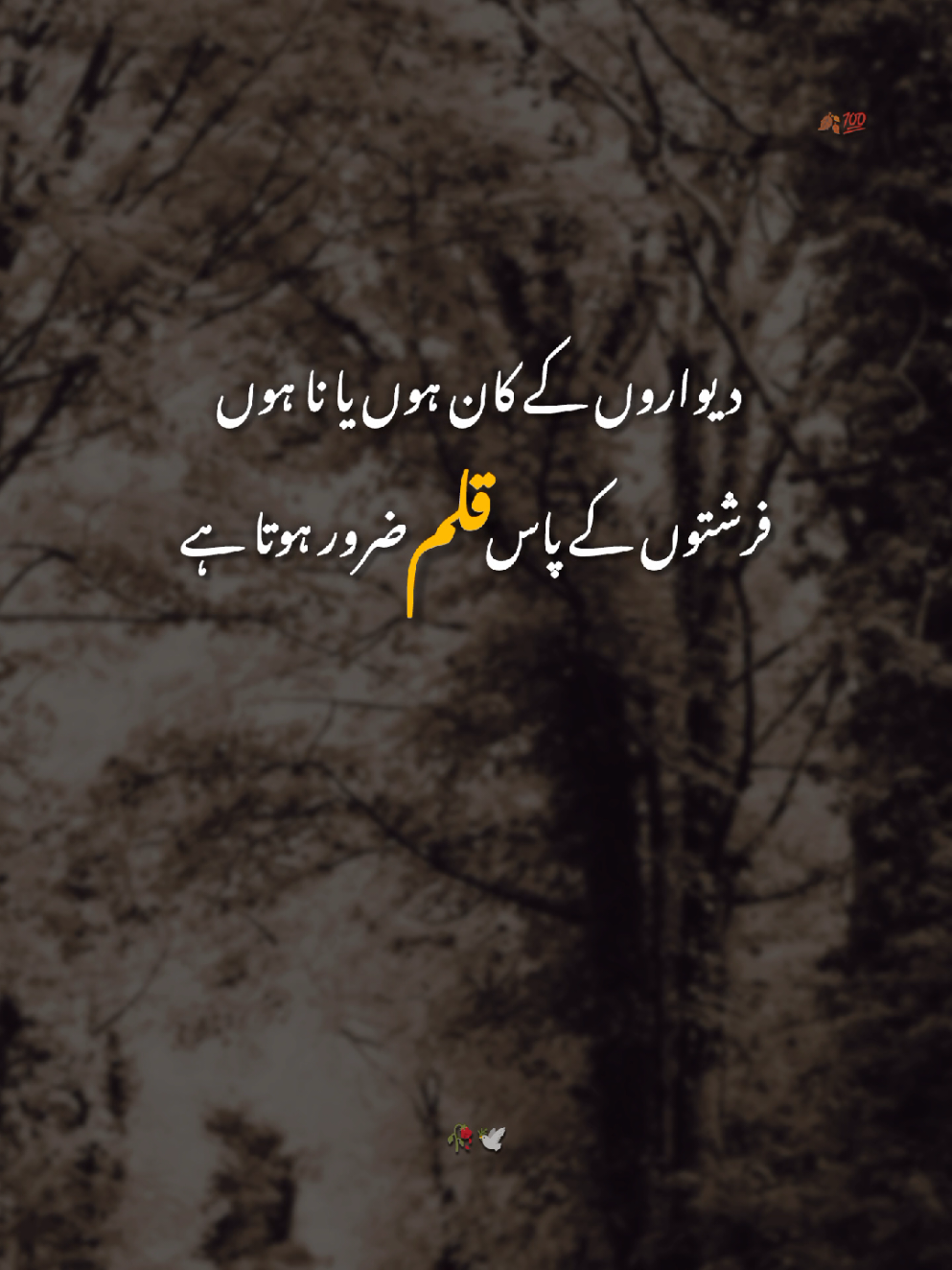 Diwaron ke Kan Hu Na Na Hu 🥀💯🥹 #unfreezemyacount #growmyaccount #foryoupagе #urdupoetry #asifwriter33 