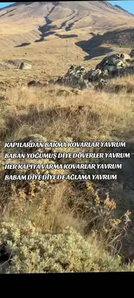 #tiktokliveyıldızı
