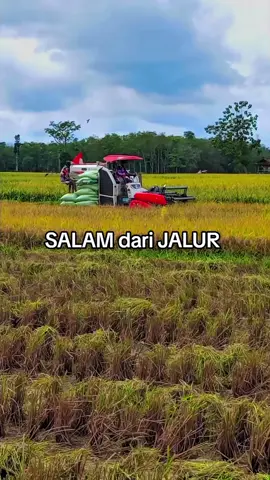 halo bolo..... salam satu profesi 