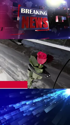 El Misterio de las Rosas Asesinas ¿Quién Las Deja en los Autos #reakingnews #usaus #usa #noticias #eeuu