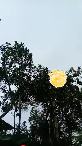 mandi mandi🦫