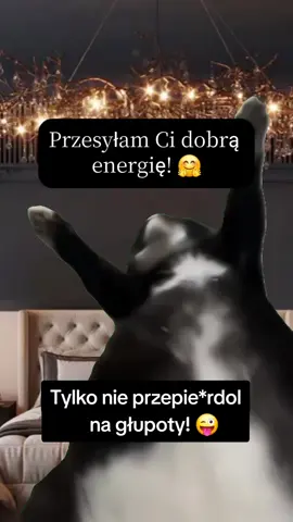 #Meme #MemeCut #CapCut #dc #viral 
