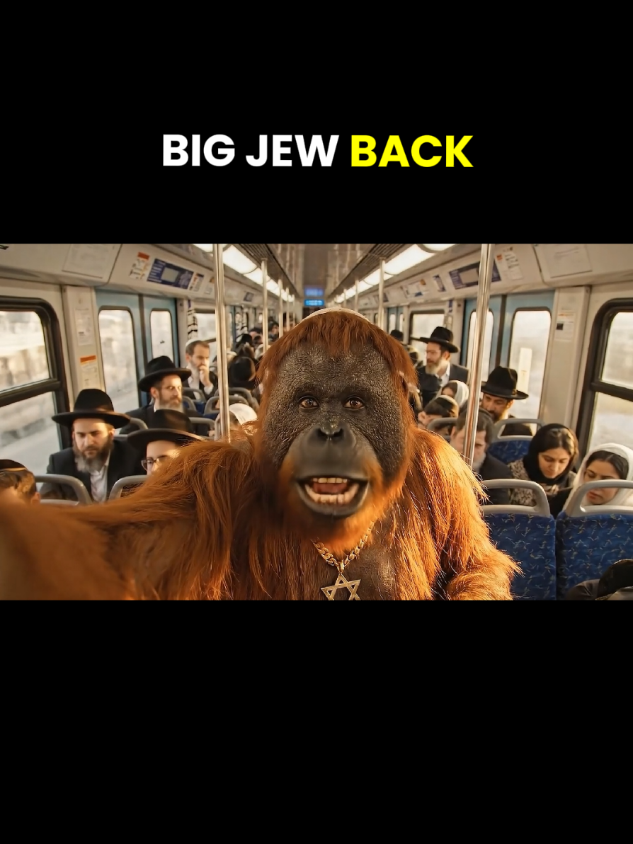 Part 4 #israel #orangutan #Vlog #ai #בינה_מלאכותית 