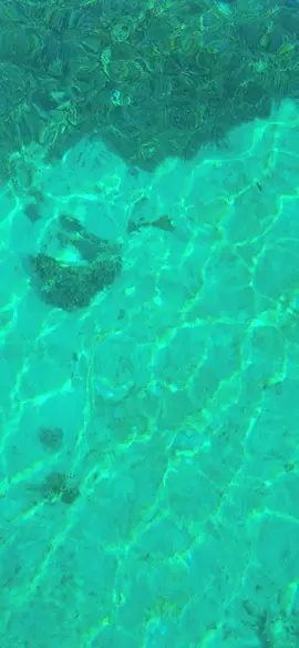 emang bole sebening ini🥺 #labuanbajotrip#siabaislandturtle#healing#fyp#nttpride🏝🔥 