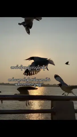တစ်ယောက်ထဲနဲ့လုံလောက်တဲ့လူမျိုး#fpyシ 
