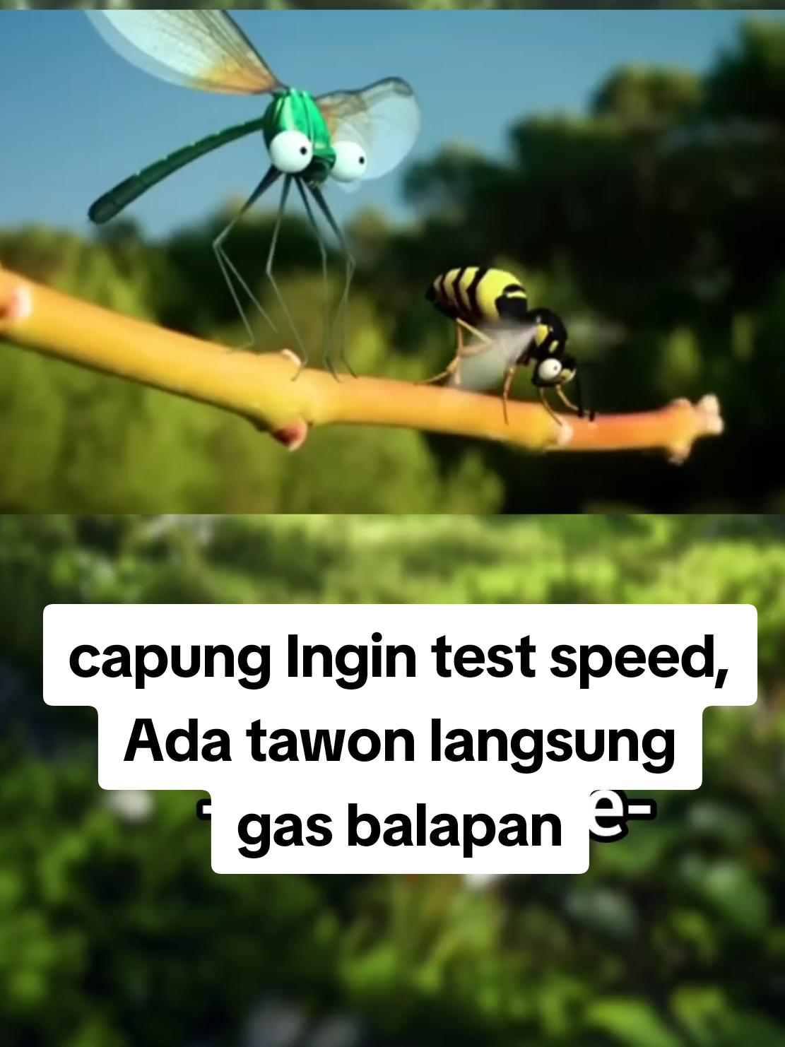 Ayoo mau taruhan berapa 🤣🤣 #Hiburan #capung #tawon #fullspeed #racing 