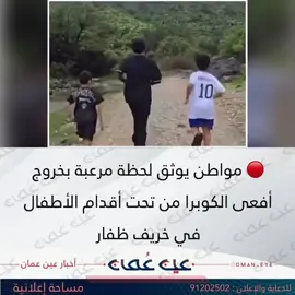 🔴 مواطن يوثق لحظة مرعبة بخروج أفعى الكوبرا من تحت أقدام الأطفال في خريف ظفار