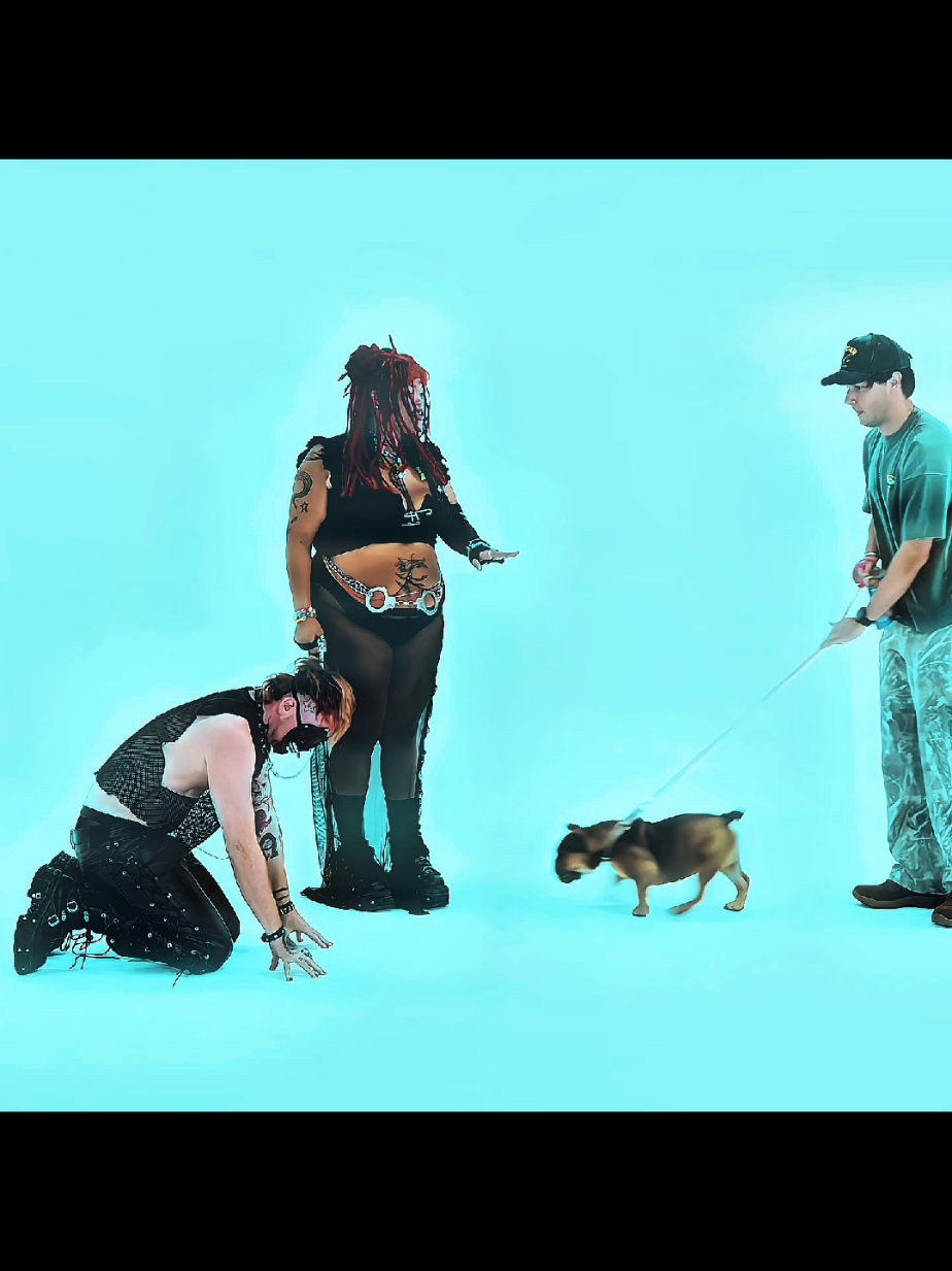 The last pet 🤯 . #pets #date #edit #edits #jesus  🎥BLIND DATING GIRLS BASED ON THEIR PETS 🎵 : MUNCHAUSEN SYNDROME BY PROXY (HARDSTYLE) 🎞️ : JESUS EDIT  ⚠️ ORIGINAL CONTENT ⚠️