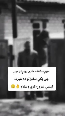 #foru  چې بې غېرتو ده غیرت کېسې شروع کړي 🥴💯😧🦅🤚 . #fypシ゚viraltiktok☆♡🦋my✌️video #foru  #viral_video 💯🥀🙏