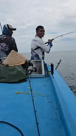 TROLING TENGIRI