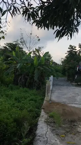 Lampu Kaka