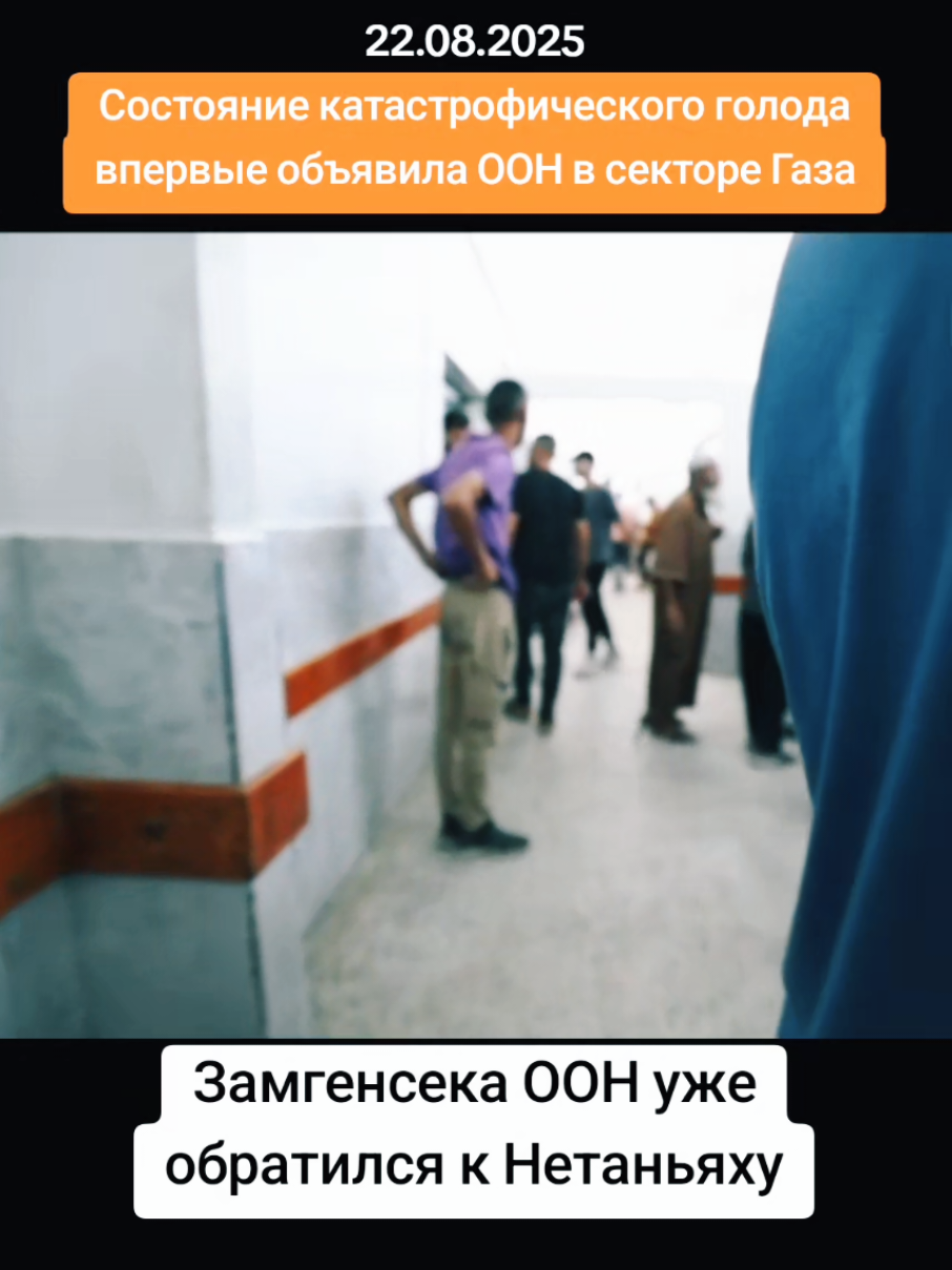ООН впервые объявила о катастрофическом голоде в секторе Газа.   Свыше 500 тысяч человек страдают от массового недоедания, нищеты и предотвратимых смертей, сообщает Продовольственная и сельскохозяйственная организация ООН.   Замгенсека ООН призвал Нетаньяху прекратить огонь и открыть границы для доставки продовольствия, но ответа пока нет.   По данным минздрава Газы, от недоедания на фоне блокады погиб 271 человек, включая 112 детей. #палестина #секторгаза #война #голод #новости 
