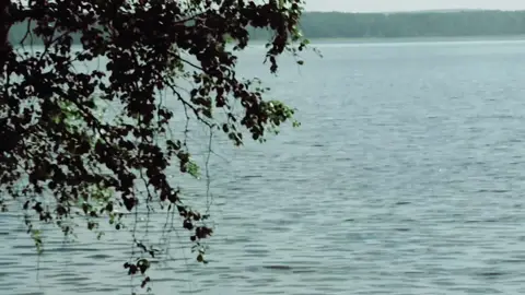 Sweden near Stockholm  #fy #cinematography #lifelover #sweden #dsbm 