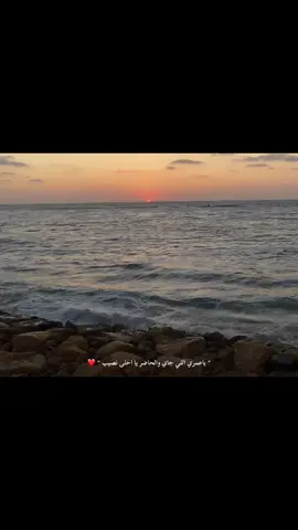#fyp #foryou #explore #بدون_موسيقي  #عمرودياب❤️