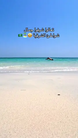 عندنا كل هذا في الشرقية وأكثر 🤩🏝️#الشرقية #السعودية🇸🇦 #الخبر_الدمام #شاطيء #اكسبلور 