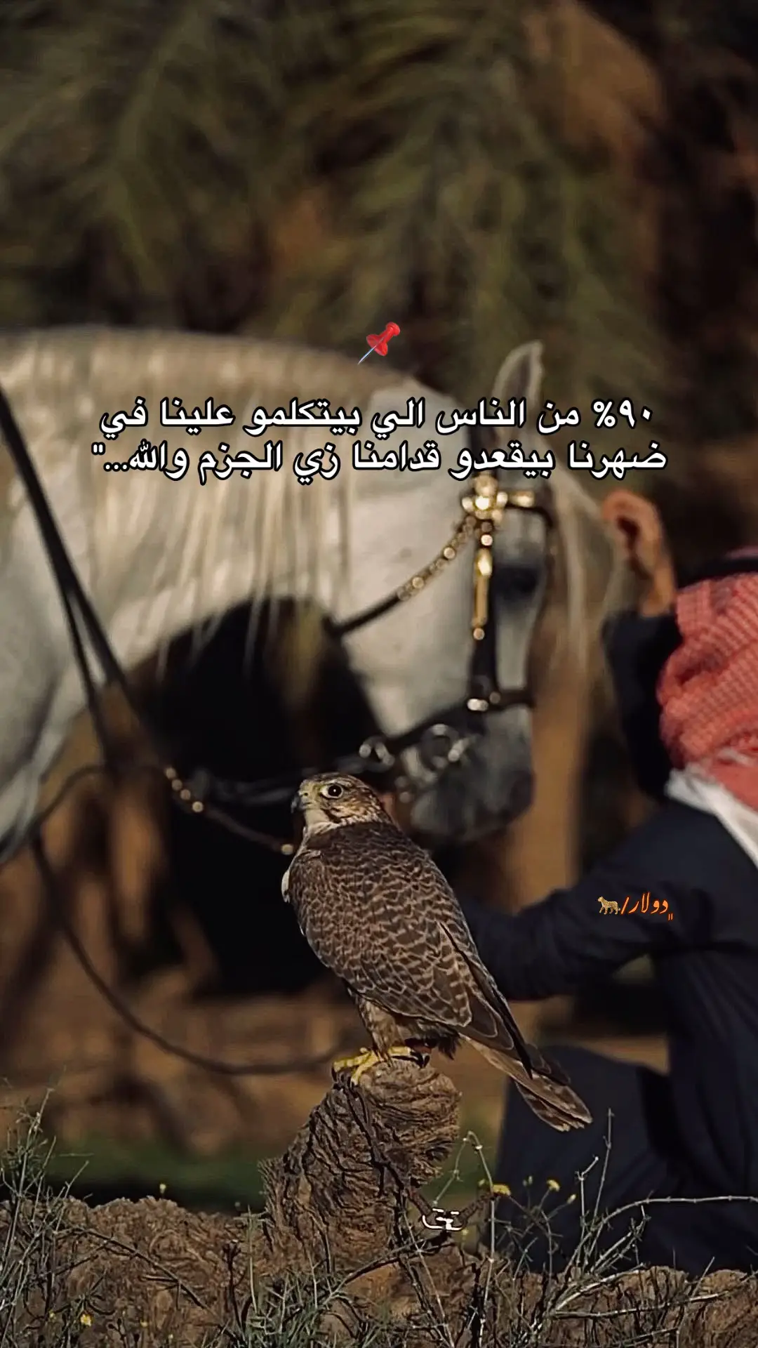 جزء 31 | #كلام_فخم #اقتباسات #حالات #كتابات #فخامه 