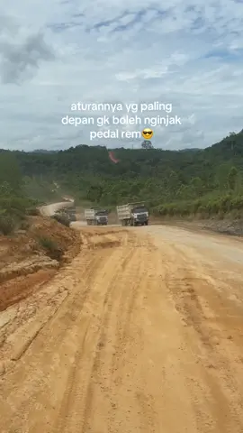merayap🐇#houlingkalimantan 