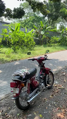 std nguli🤣#c700ไทยแลนด์🇹🇭 #c700นันทิดาออนทัว #fyp #madiun24jam 