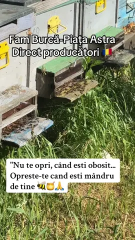 Muncește în fiecare zi pentru visul tău 🐝🍯🙏😊😊#miere #romania #munca #directproducatori🇷🇴 #goviral 