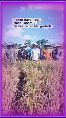 #metroviral #fyppppppppppppppppppppppp #fypage #viraltiktok #kotametroterkini 