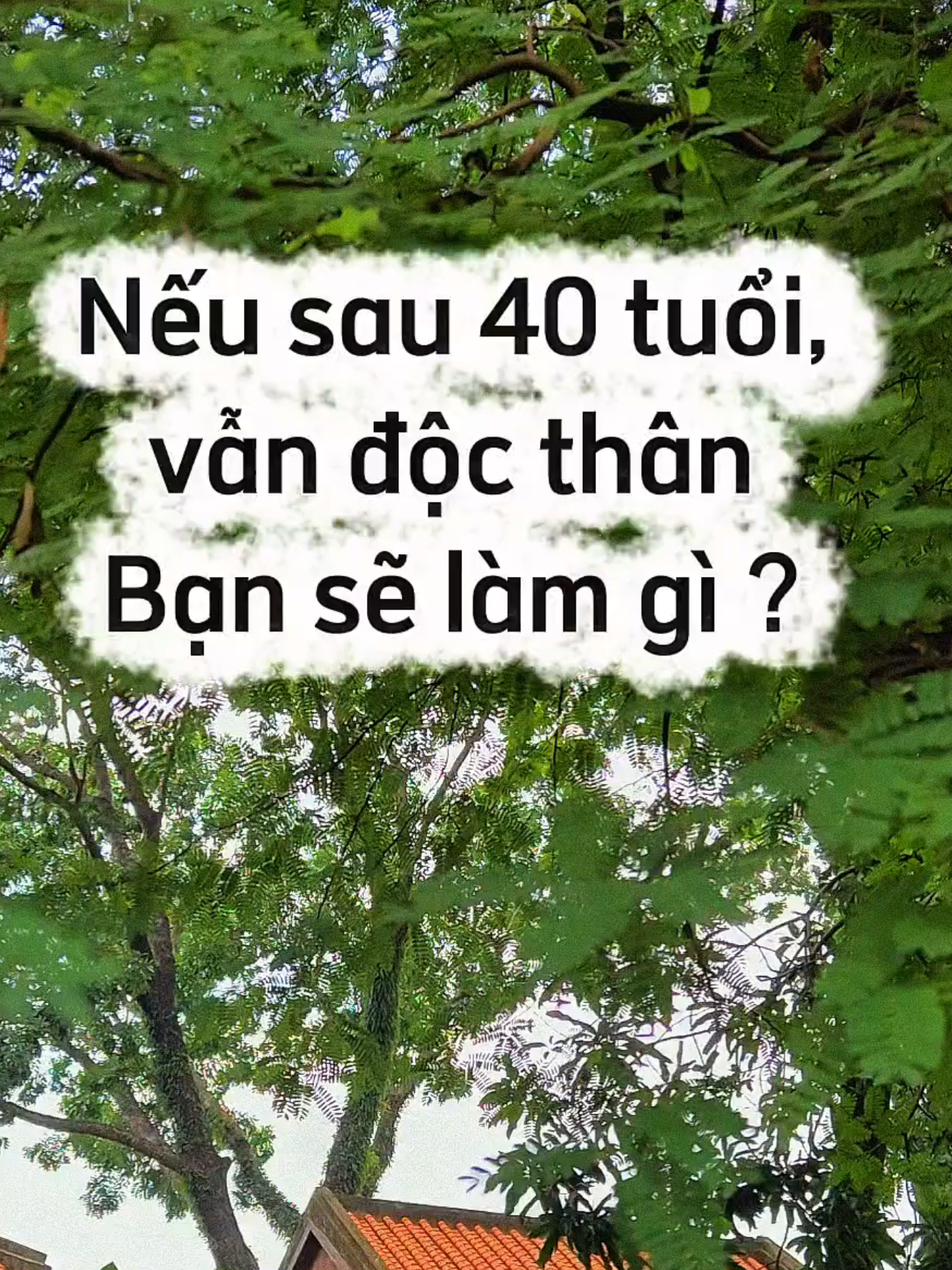 Không chồng, không vợ sau 40 tuổi có thật sự là bất hạnh ?