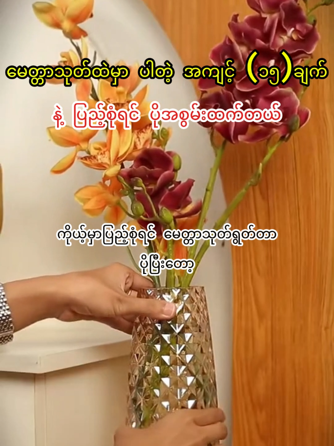 မေတ္တာသုတ်ထဲမှာပါတဲ့အကျင့် (15) ချက် #မေတ္တာသုတ် #shwemyinebuddha #foryou #fyp #buddha 