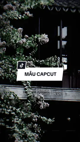 #CapCut Cũng chit tại mình đã yêu sai một người con gái kể từ ngày đỗ.. #capcutmaster #xuhuong #nhachaymoingay #capcut #capcutpioneer #pioneertemplate 