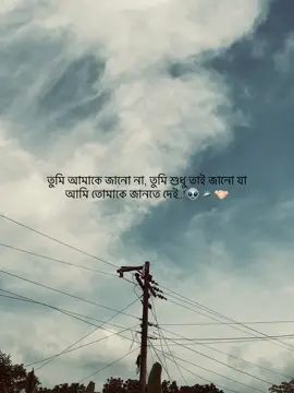 তুমি আমাকে জানো না, তুমি শুধু তাই জানো যা আমি তোমাকে জানতে দেই..!👽🛸🤝🏻#sigmacaption #viralcaption #motivation #attitude #caption 