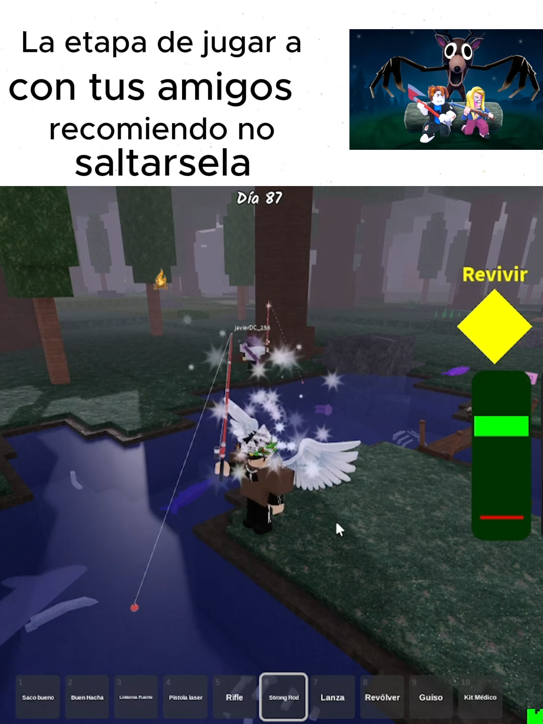 LA MEJOR ETAPA #fyp#paratiiiiiiiiiiiiiiiiiiiiiiiiiiiiiii#99nochesenelbosque #99nightsintheforest #robloxgames #99noches #fouryoupage_tiktok_ #robloxfypp #kickperu💚 #kickperu #viralllllll #clips #clip #humor#fyppppppppppppppppppppppp #enparati #show #chowchow #fypシ゚viral🖤tiktok #paratii #fypp #fypツ #fyppppppp #fyppppppp #fyppppppp #fyppppppp #kcip #foryou #viraltiktok #virallllllllllllll #entretenimiento #comedia #kick #humorroblox #kickstreaming #robloxmemes #amigos