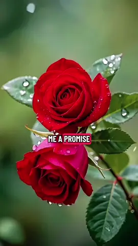 Can you make me a promise #mylove#mylife#sweetheart#lovforever#ukcontent  