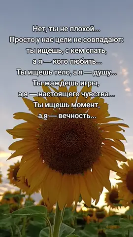 Нет, ты не плохой. Просто у нас разные цели. Ты ищешь, с кем провести ночь, а я — с кем прожить утро и каждую следующую жизнь. Ты смотришь на тело, а я пытаюсь заглянуть в душу. Ты жаждешь игры, а я ищу тишину и настоящую близость, где не нужно притворяться. Ты хочешь мгновения, яркого, но быстрого, а я жду вечности, в которой чувства не сгорают за одну встречу. Я верю, что любовь — это не случайная страсть и не лёгкий флирт. Любовь — это когда слова не нужны, когда в глазах читается всё. Это поддержка в трудные дни, смех в простых мелочах и уверенность в завтрашнем дне. Я ищу глубину, искренность и свет, а не иллюзию, которая растворяется с первым рассветом. Ты не плохой. Мы просто идём разными дорогами. . #любовь❤  #душа  #отношенияспарнем #расставание #цитатыпролюбовь 